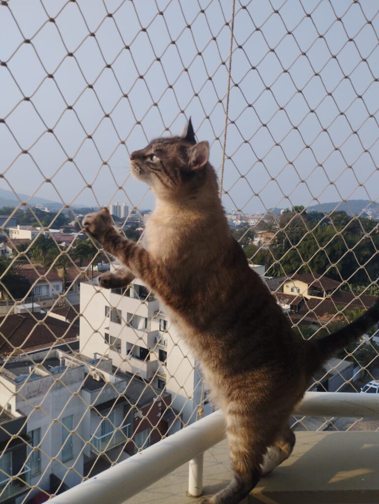 telas em sacadas para proteção de gatos